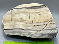 A white finely crystalline rock with gray-striped banding.
